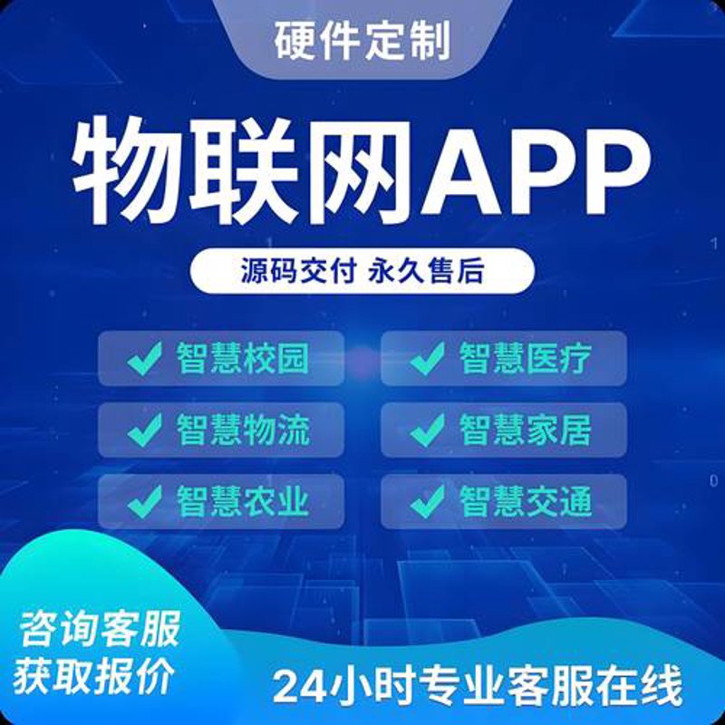 软件定制开发：企业成长的加速器