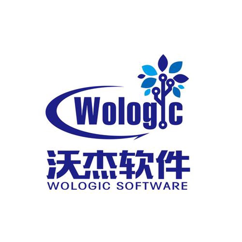 探寻软件开发的秘密：以上海为例